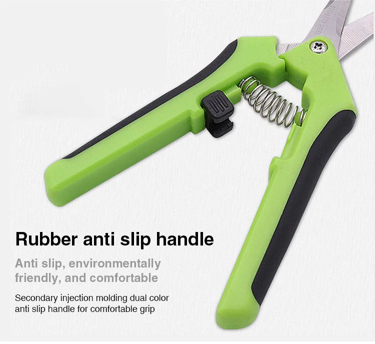 Pruning Shears
