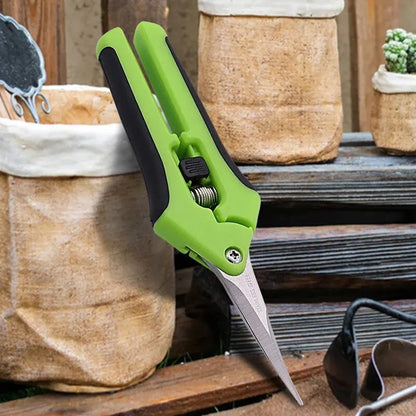 Pruning Shears