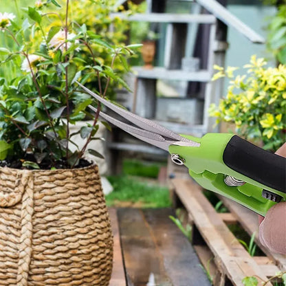 Pruning Shears