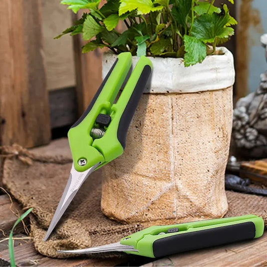 Pruning Shears