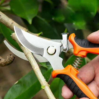Gardening Shears