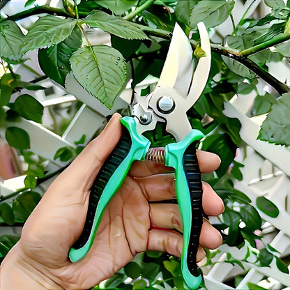 Garden Pruning Shears