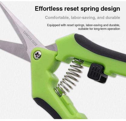 Pruning Shears